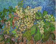 Vincent Van Gogh White Flowers with Blue Background china oil painting artist